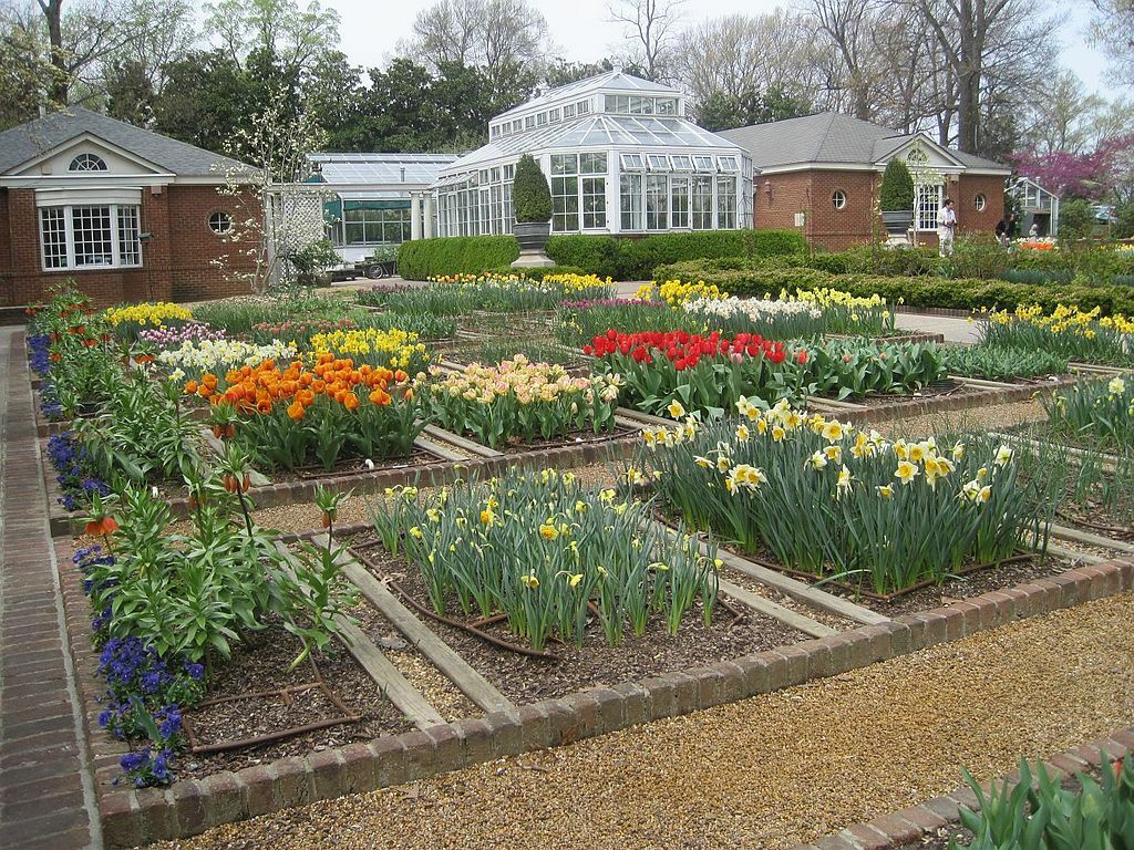 Dixon Gardens Memphis TN 2014-04-06 083