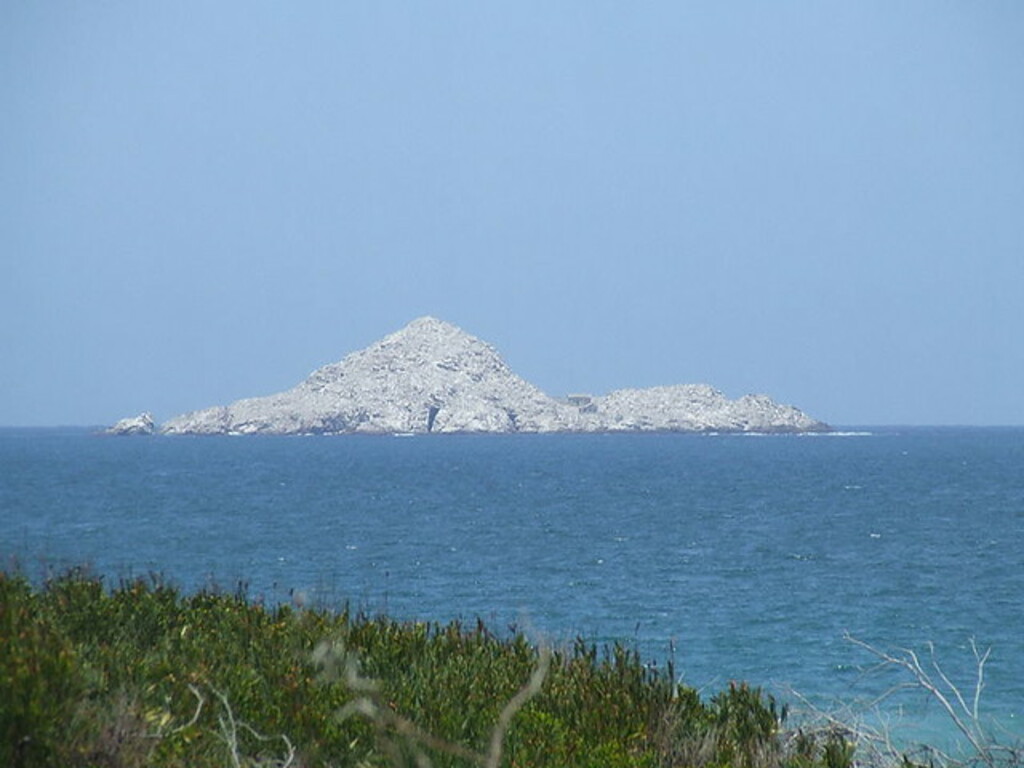 st Croix island near Algoa Bay, P.E - South Africa