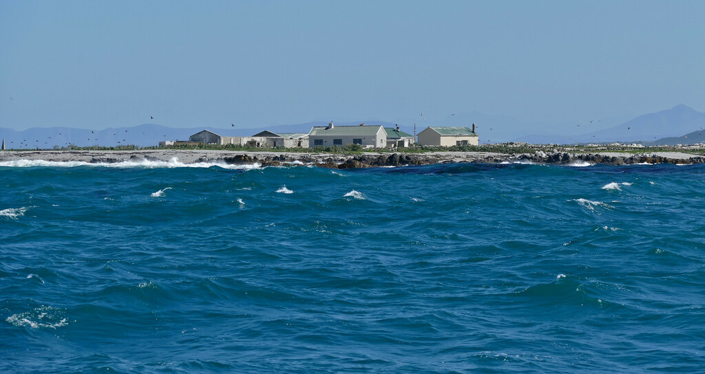 Dyer Island