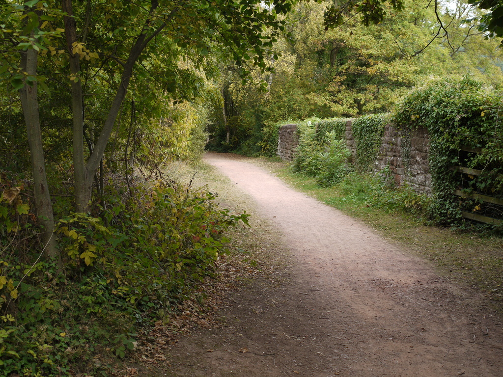 Hereford Road bridge, Ledbury (6)