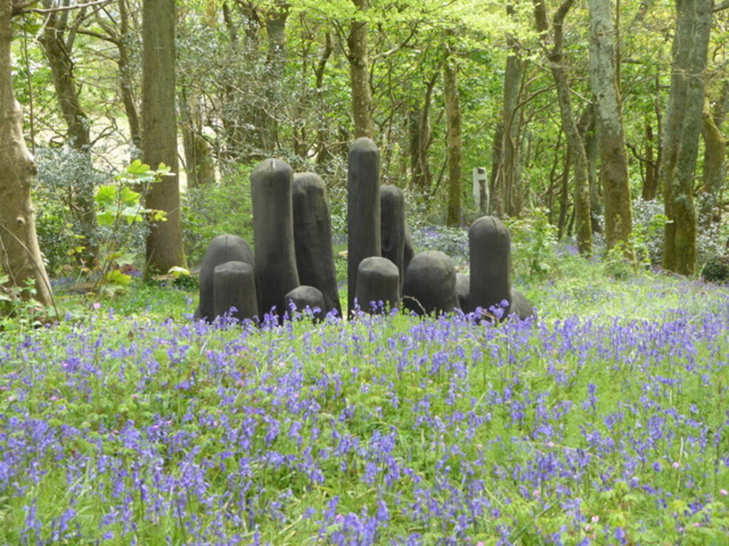 'Bluebells & 'Black Mound' at Tremenheere Sculpture Gardens