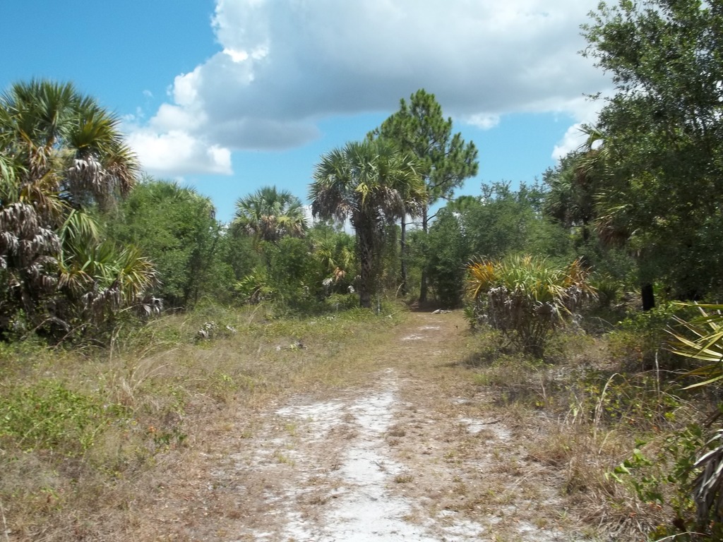 Charlotte Harbor Pres SP02