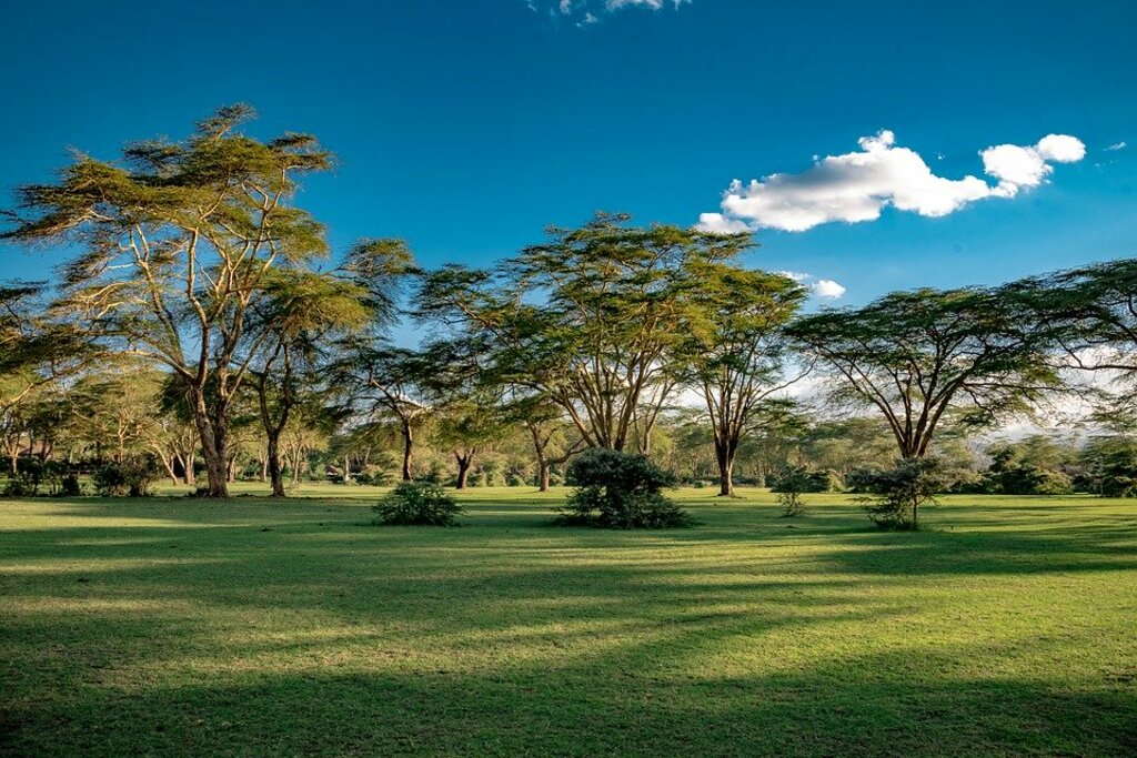 Naivasha, Kenya