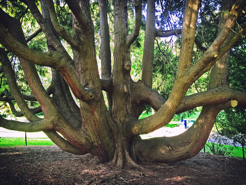 Seattle — Carl S. English Jr. Botanical Gardens — 03