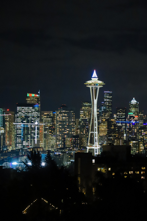 Space Needle