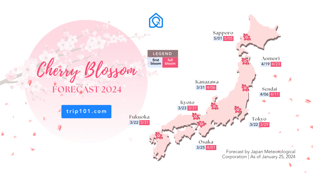 Cherry Blossom 2024 Forecast In Japan