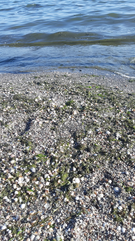 Zagilba Beach