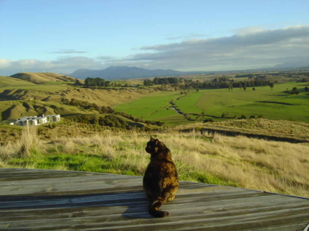 Views of Martinborough