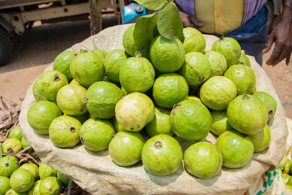 Guavas