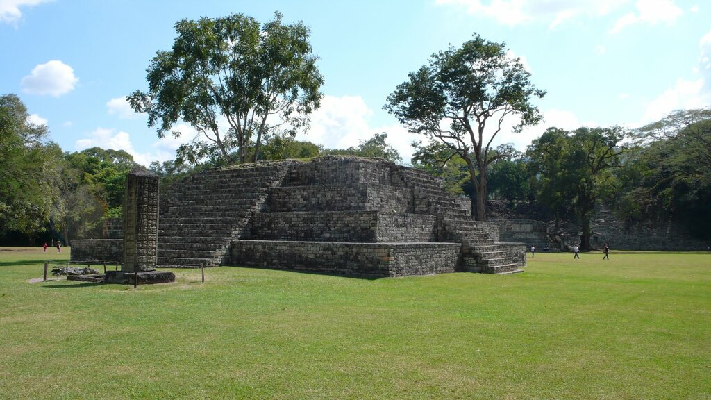 P1020227