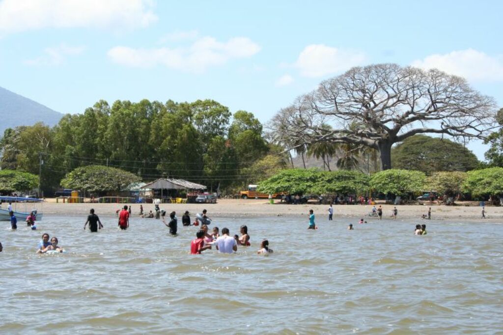 la ceiba