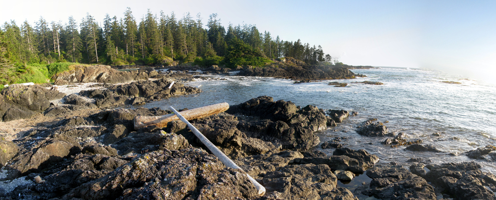 Pacific Rim National Park - Wickaninnish Beach