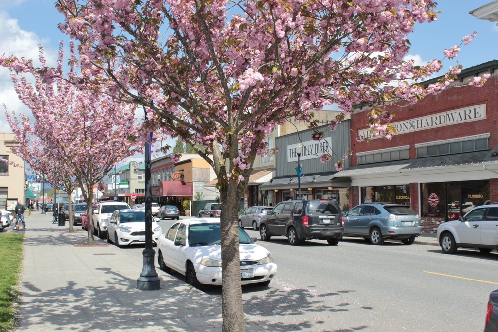 Olympus Avenue in Downtown Arlington, WA