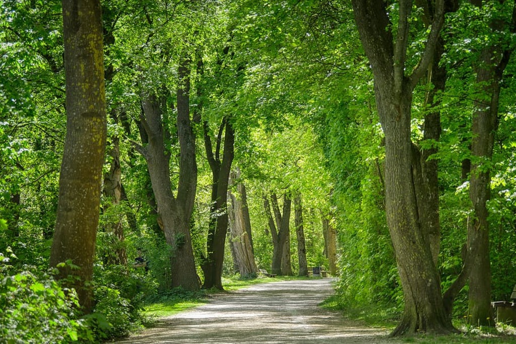 Hiking trail