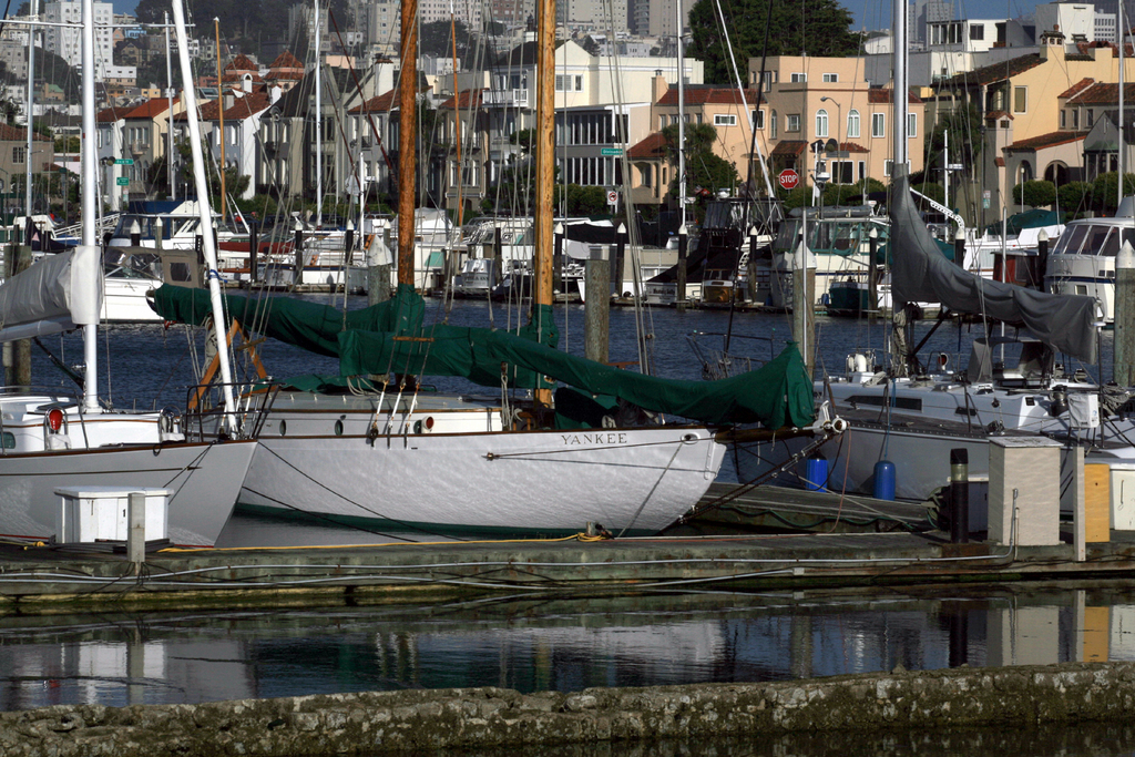 Marina District San Francisco 2008 1