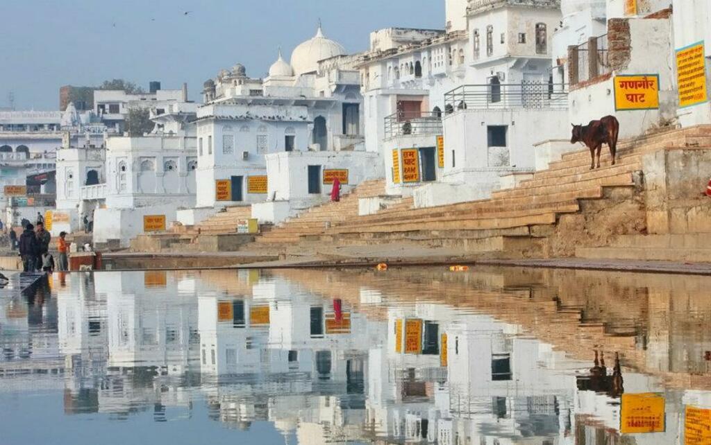Pushkar & Nathdwara,Rajasthan,India (9)