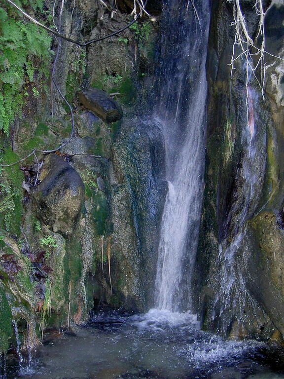Maidenhair Falls