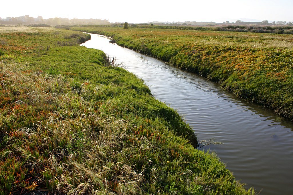 Ballona Wetlands stream