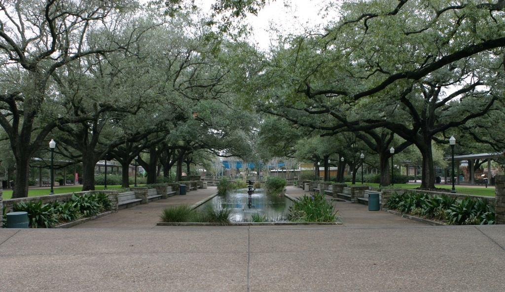 Houston Zoo reflection pool