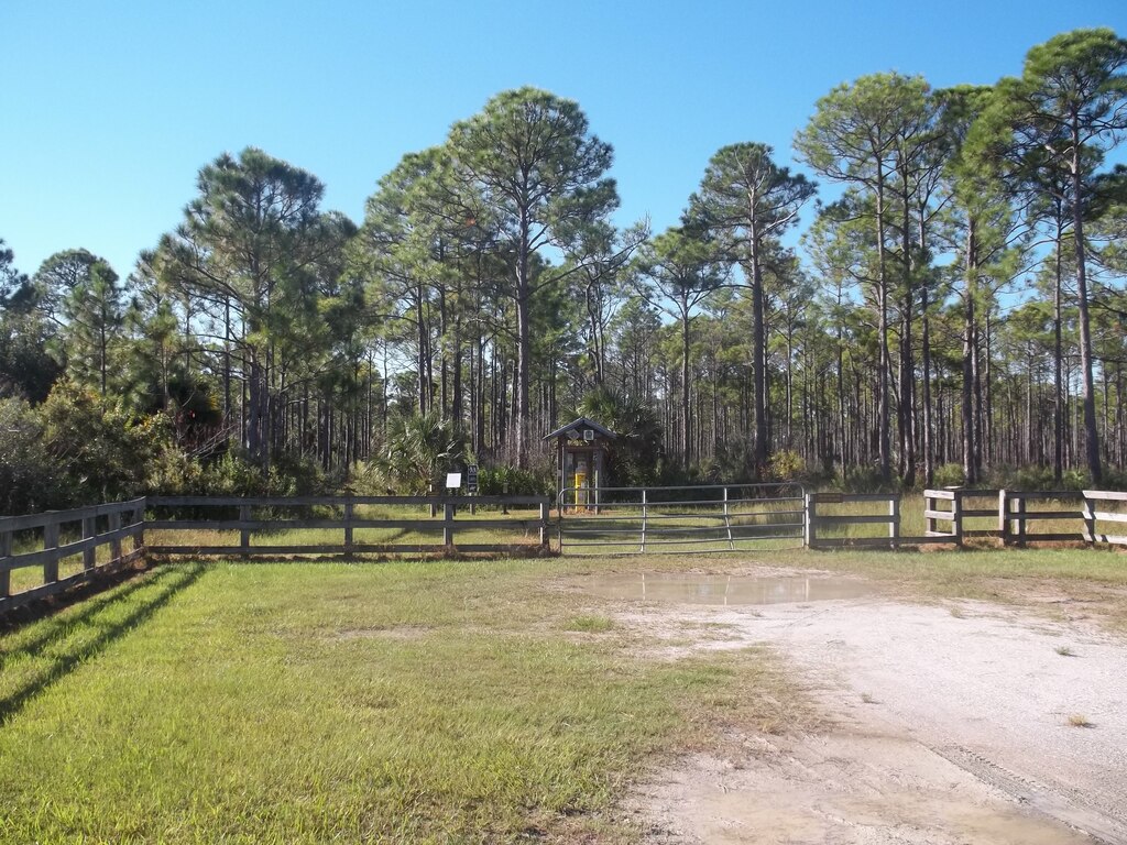 FL Myakka State Forest north01