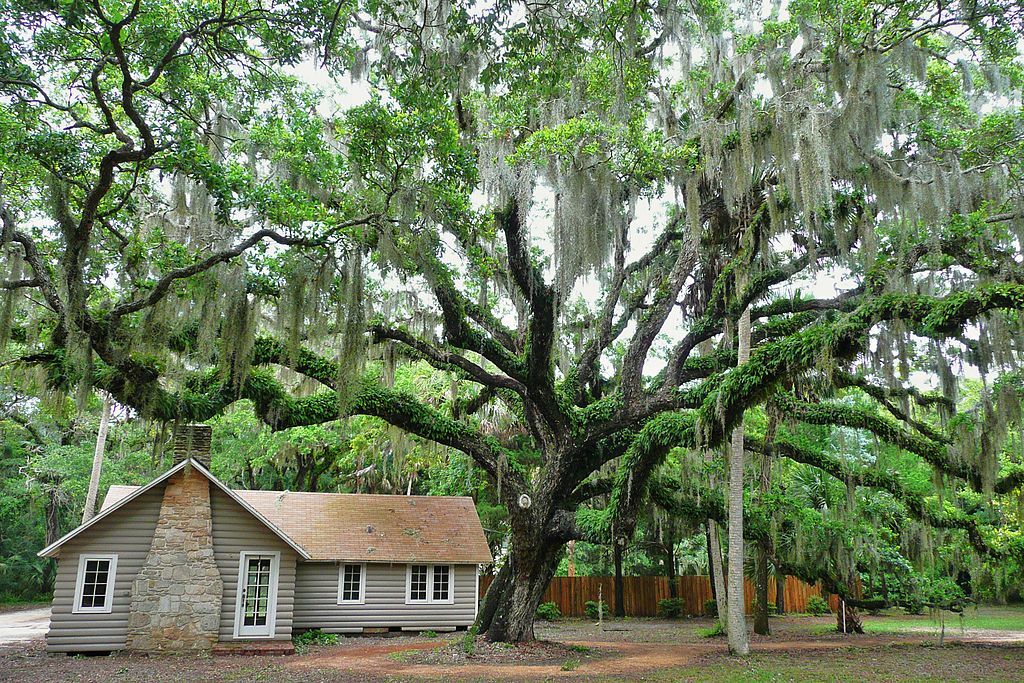 Washington Oaks State Gardens