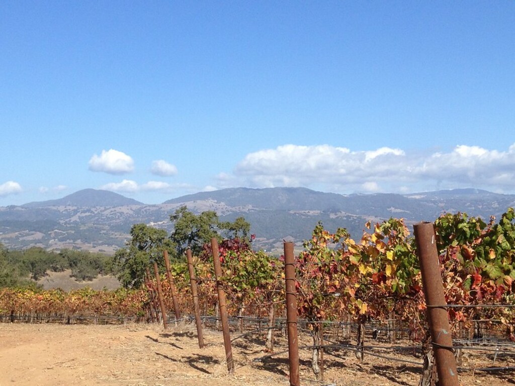 Jordan Winery