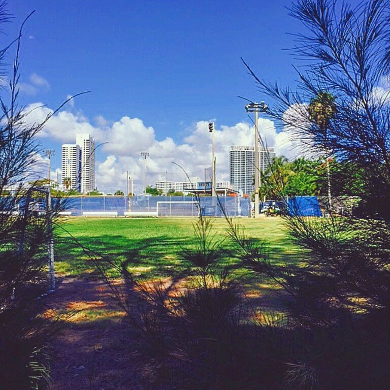 Flamingo Park