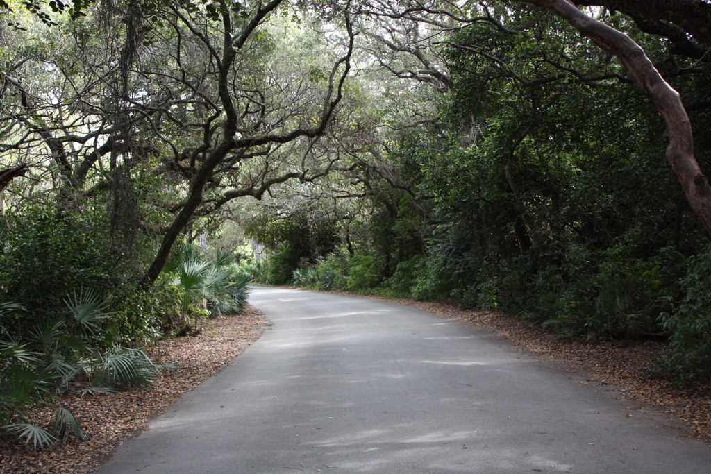 Greynolds Park golf course