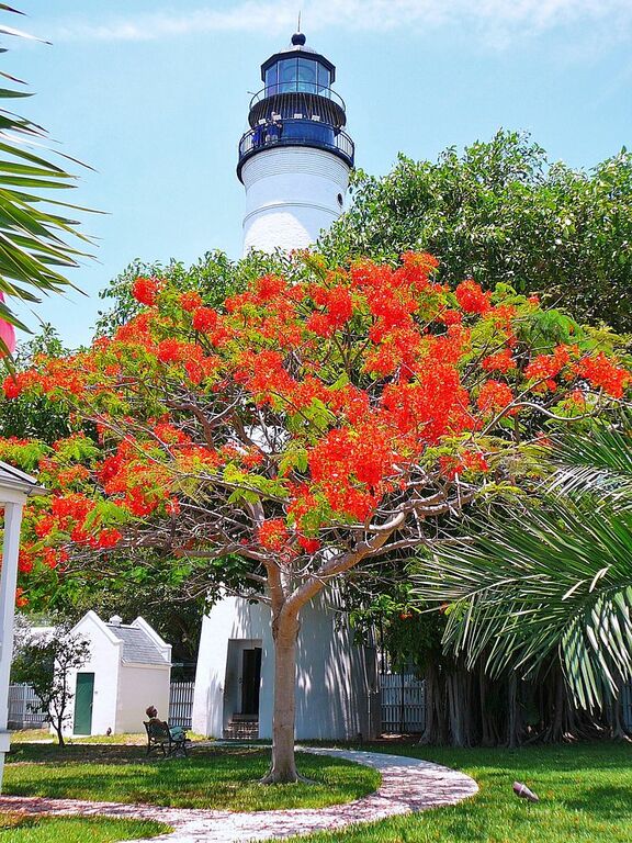 Key West Lighthouse 20080728