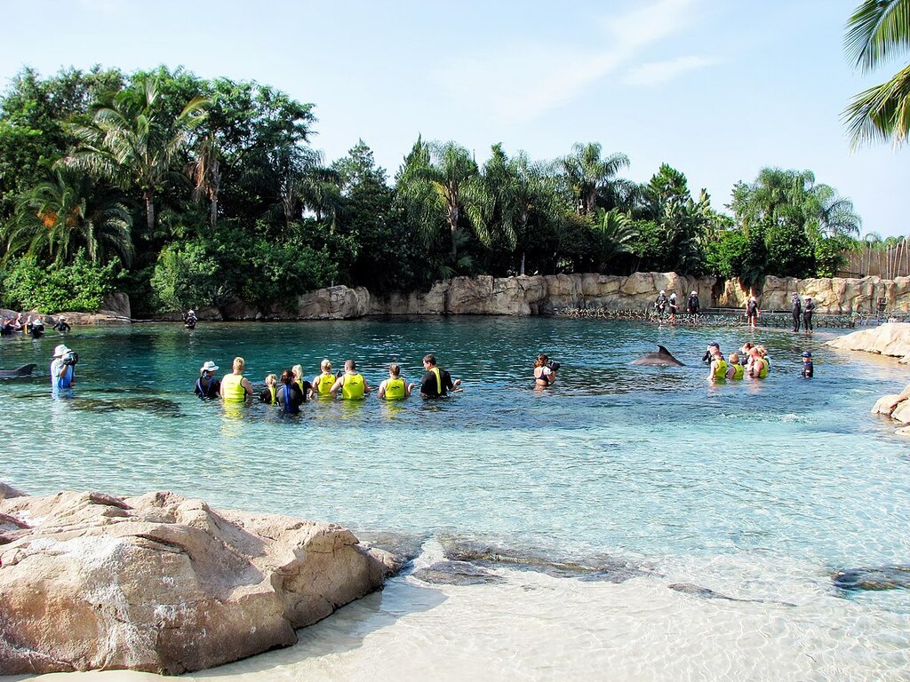 Discovery Cove, Orlando - panoramio (10)