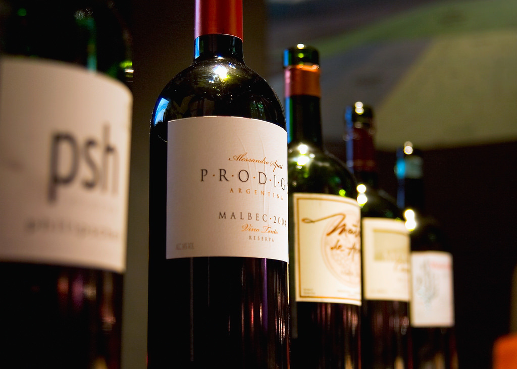 Wine at The Vines of Mendoza