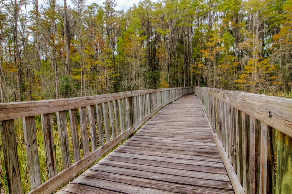 20151025-IMG_8545_HDR
