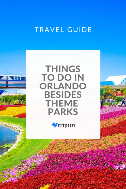 Things To Do In Orlando Besides Theme Parks