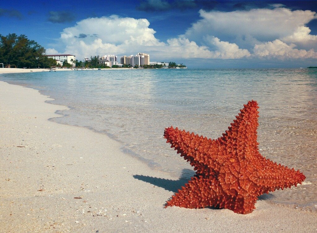 top all-inclusive resorts in Exuma, the Bahamas.