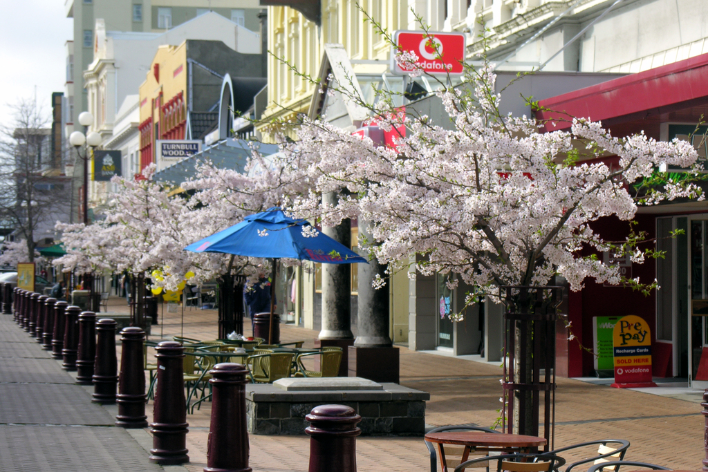 Spring in Esk Street - Invercargill