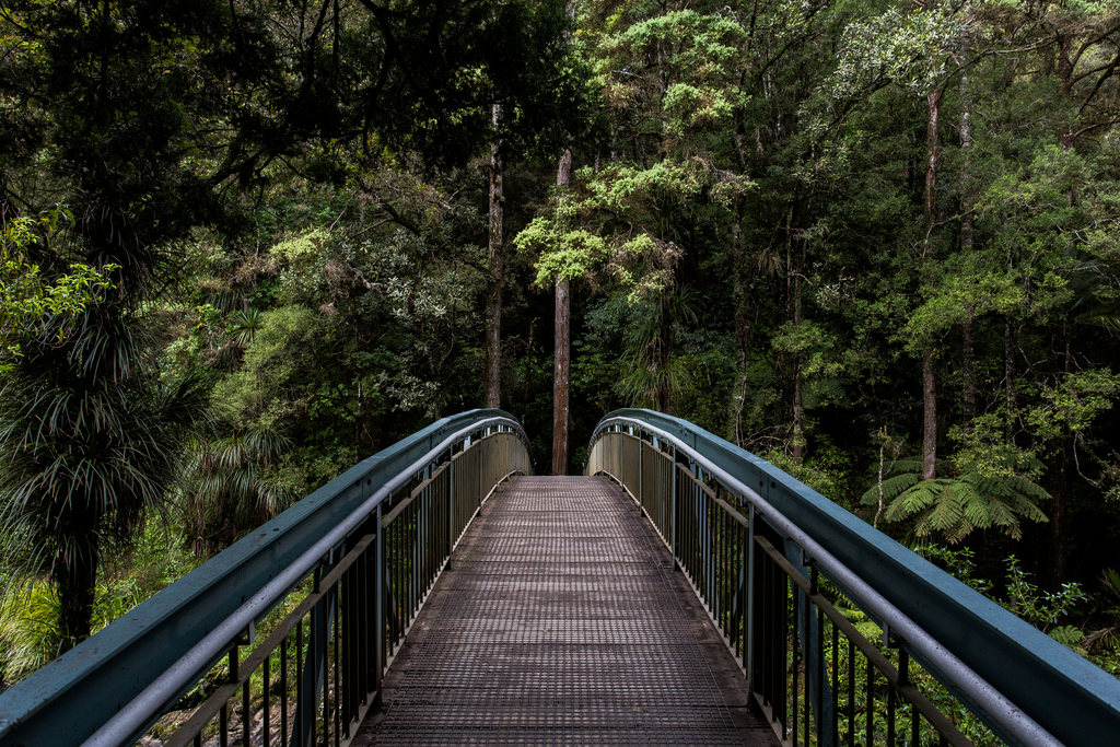 Whangarei Falls, Whangarei, New Zealand (Unsplash eOpewngf68w)
