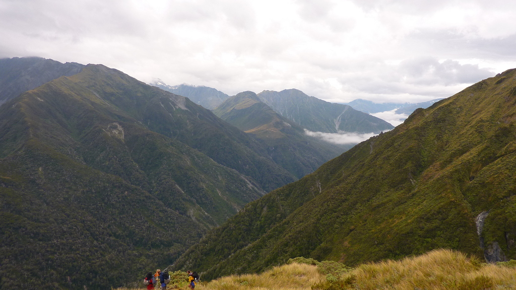 Mungo River Valley Tributary of Hokitika River New Zealand Aotearoa
