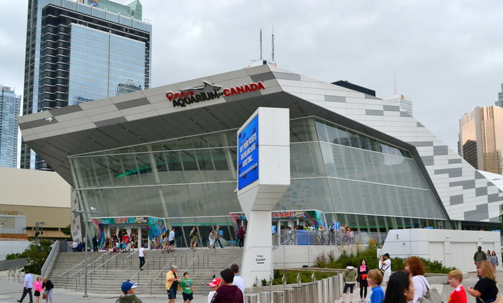 Ripley's Aquarium of Canada (2)