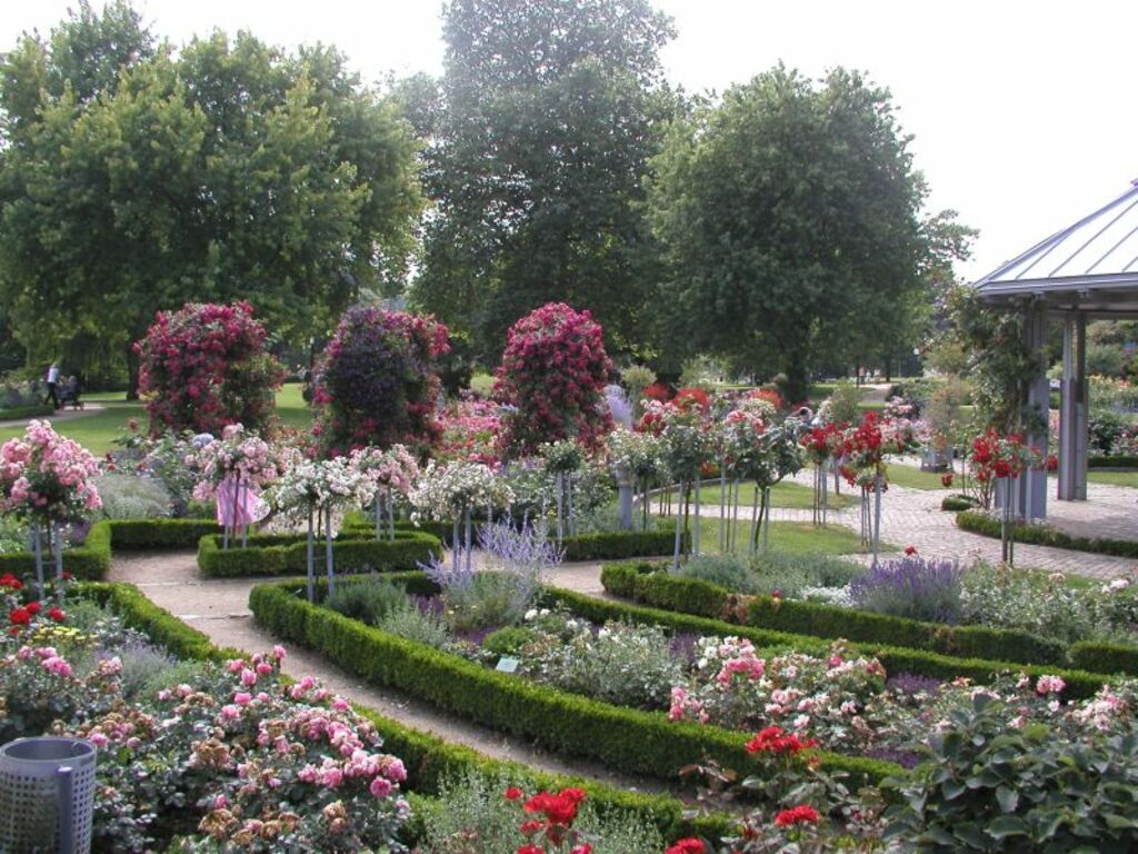 Planten un Blomen Rosengarten 1