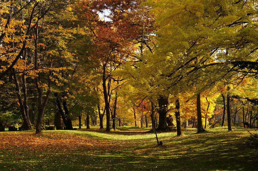 Hokkaido University Botanical Gardens Sapporo