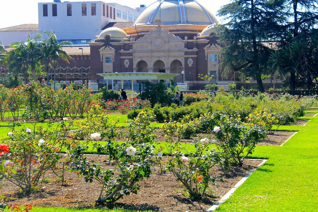Exposition Park Rose Garden