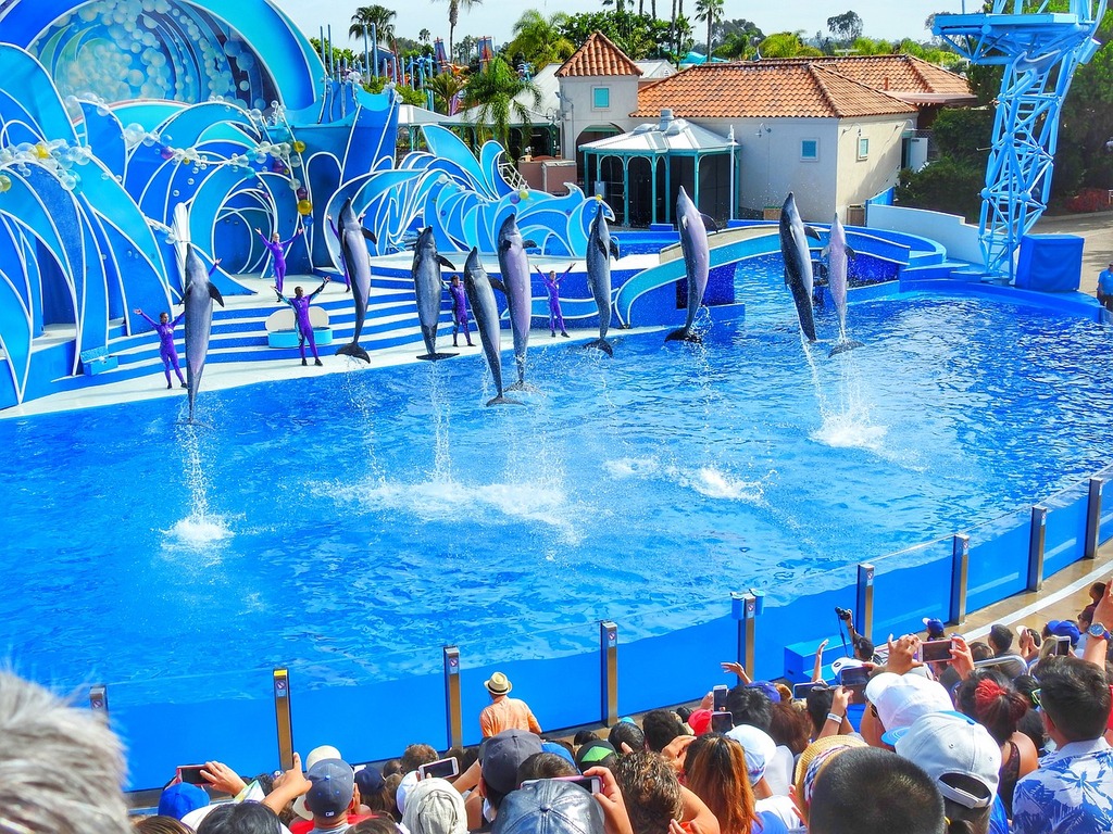 theme parks in san diego | seaworld san diego