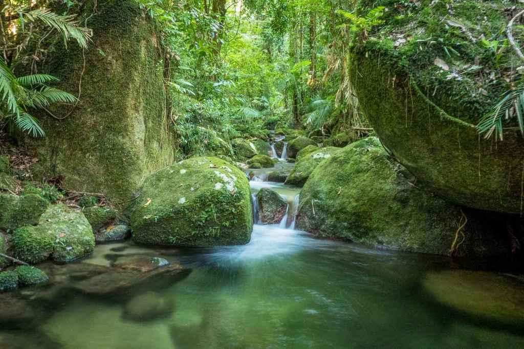 get your feet moving through hiking at mossman gorge