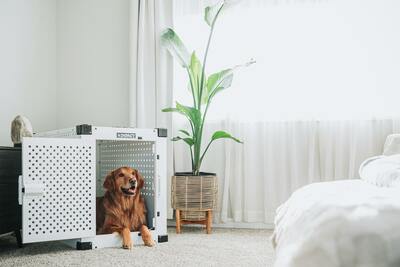 7 Best Adults-Only Hotels In Ohio, USA - Updated 2025 | Trip101