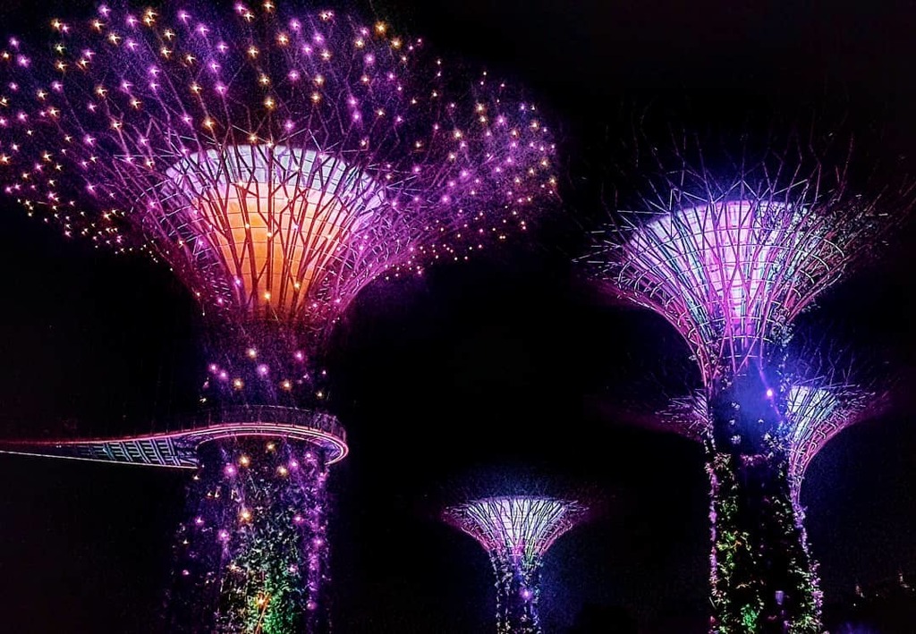 Garden Rhapsody at the Supertree Grove - Gardens by the bay