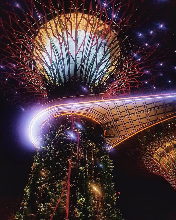 Garden Rhapsody at the Supertree Grove - Gardens by the bay