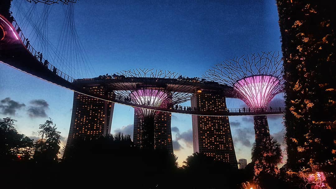 Supertrees by the Grove