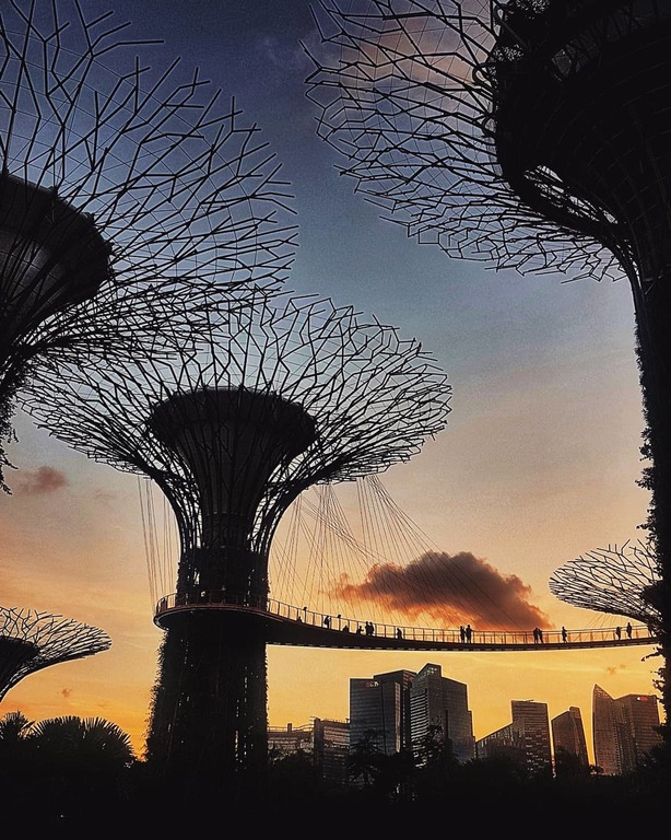 Supertrees by the Grove