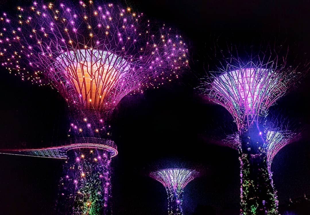 Supertrees by the Grove