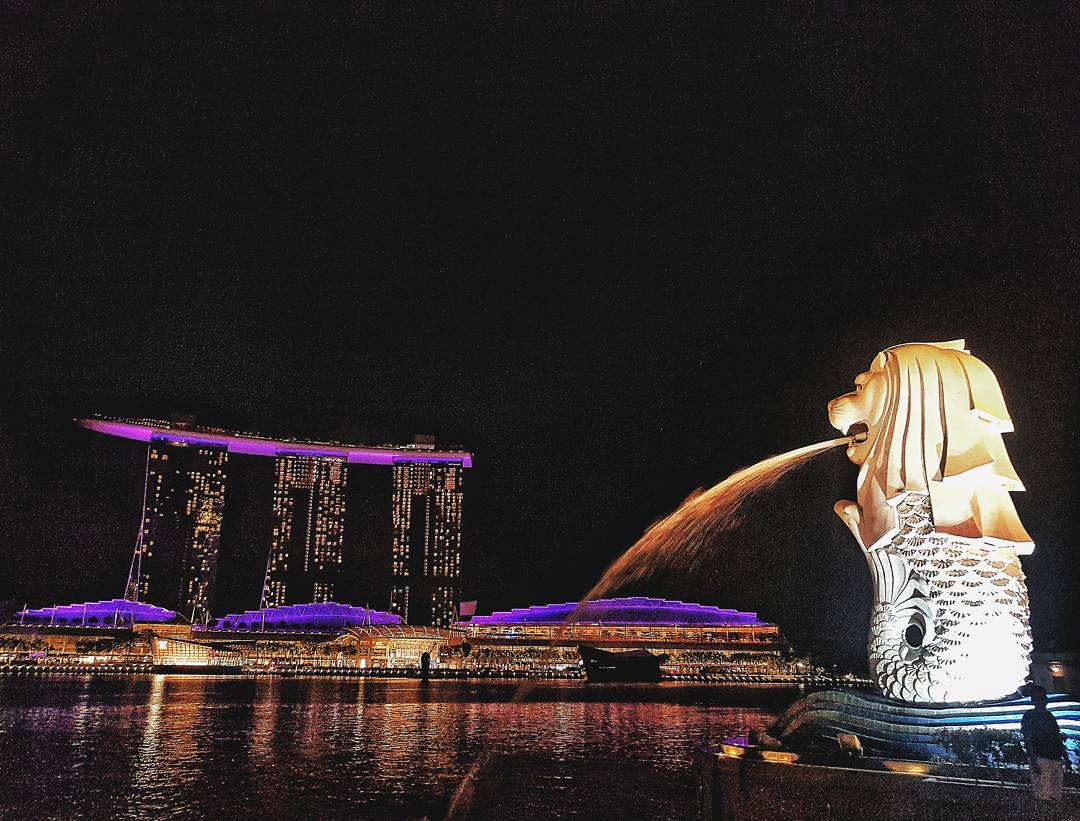 Merlion Park - Night View